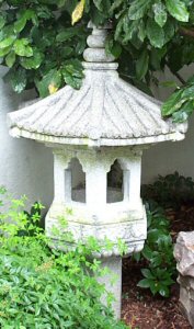 Chinese Lantern 2.jpg